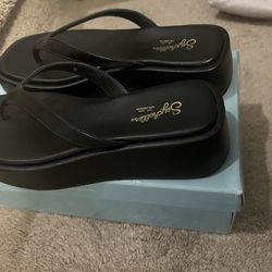 Seychelles Size 8 Sandals 