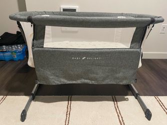 Baby Delight Beside Me Dreamer Basseinet
