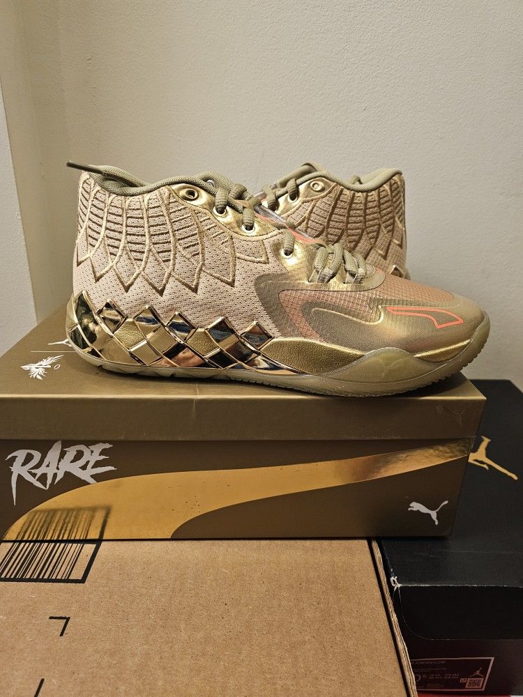 Puma Golden Child Size 10M