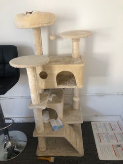 Cat house