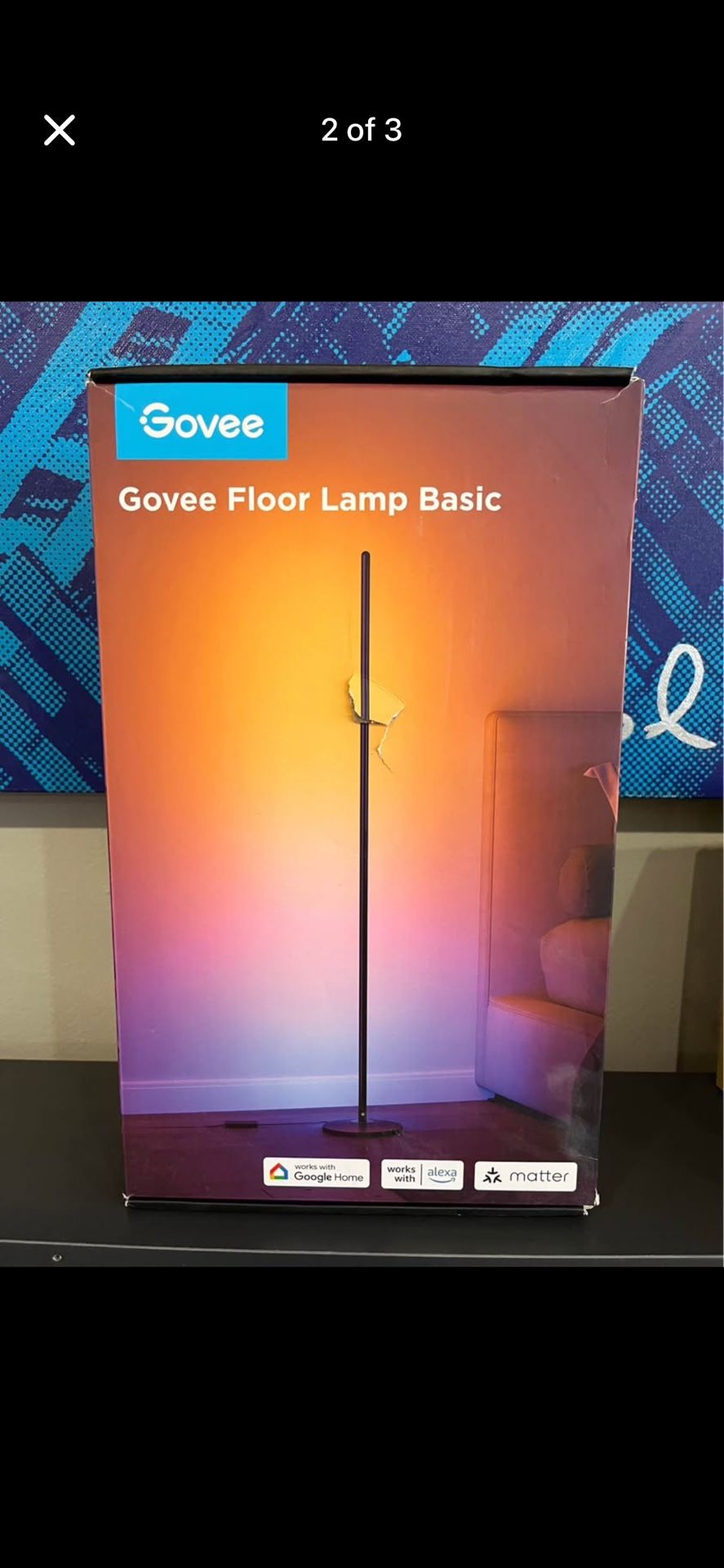 Govee Floor Lamp