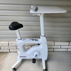 Flexispot V9 Max Home Office All-in-One Desk Bike/Bike Workstation