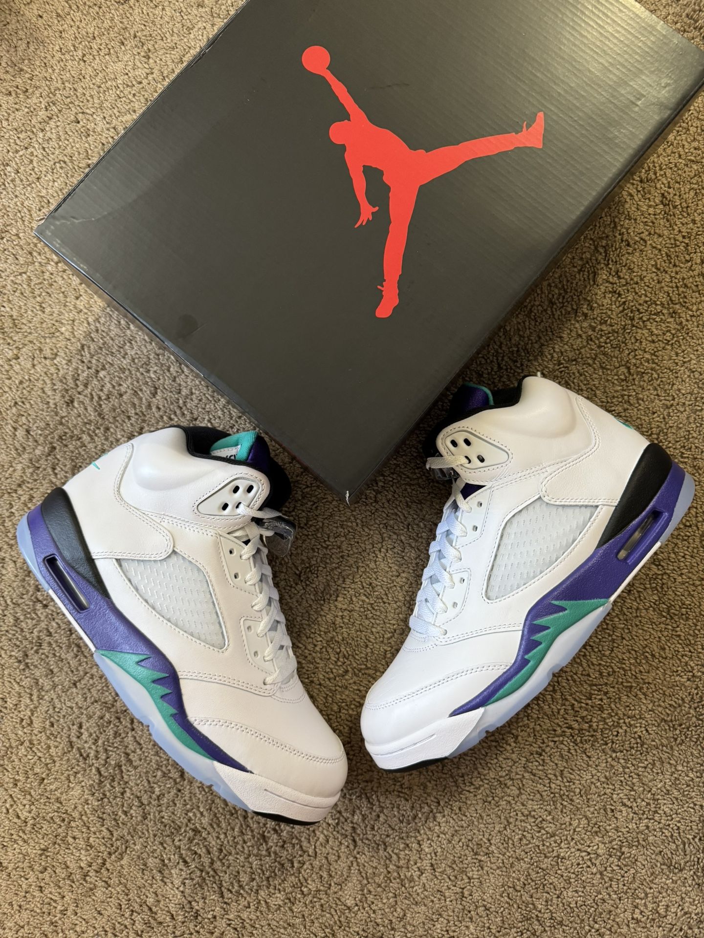 🔥Jordan 5 Retro Grape 2025🔥 size 8.5
