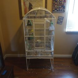 Birds And Cage 