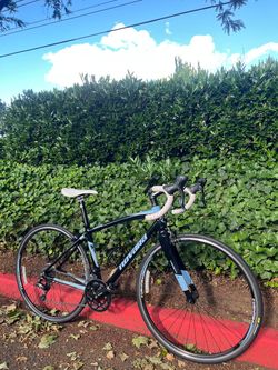 Novara Carema 3 Lightweight Road Bike – Small Frame