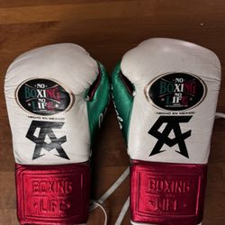 No Boxing No Life 14 Oz Gloves
