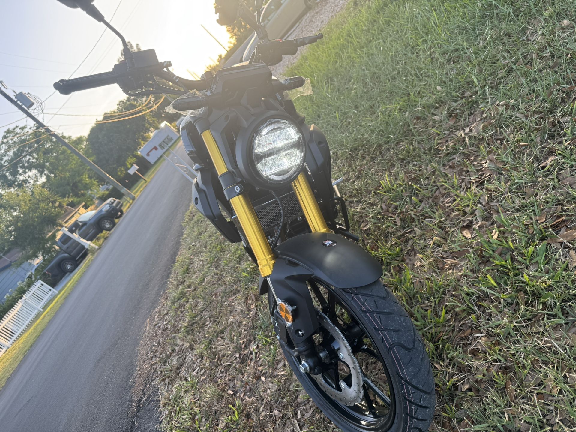 Vitacci 250 XMt