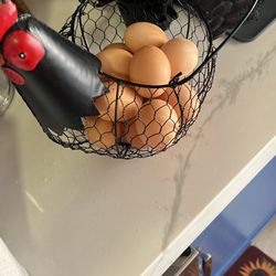 Fresh Farm Eggs 