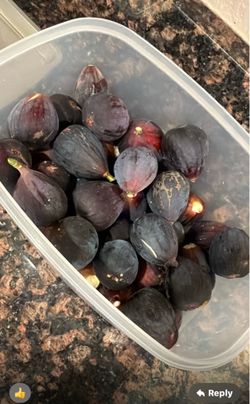 Figs and Hijos