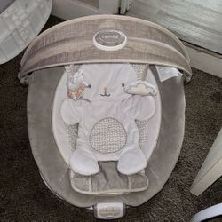 Vibrating Bouncer
