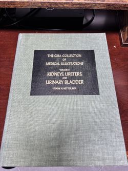 Netter KIDNEYS, URETERS, AND URINARY BLADDER