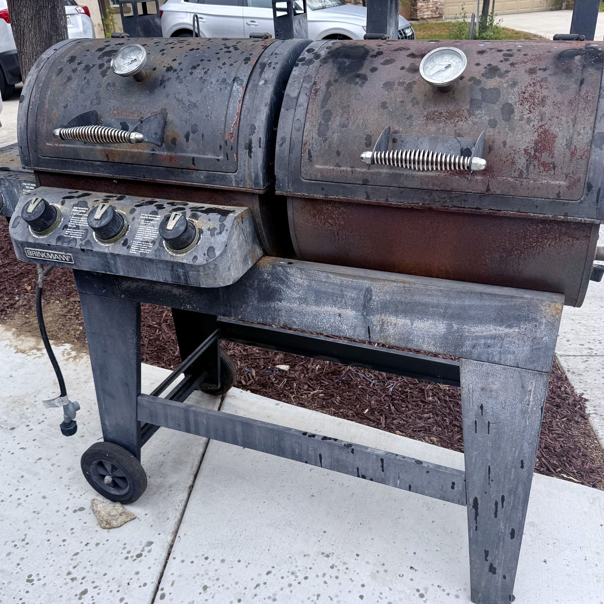 Free Charcoal & Gas Bbq Grill