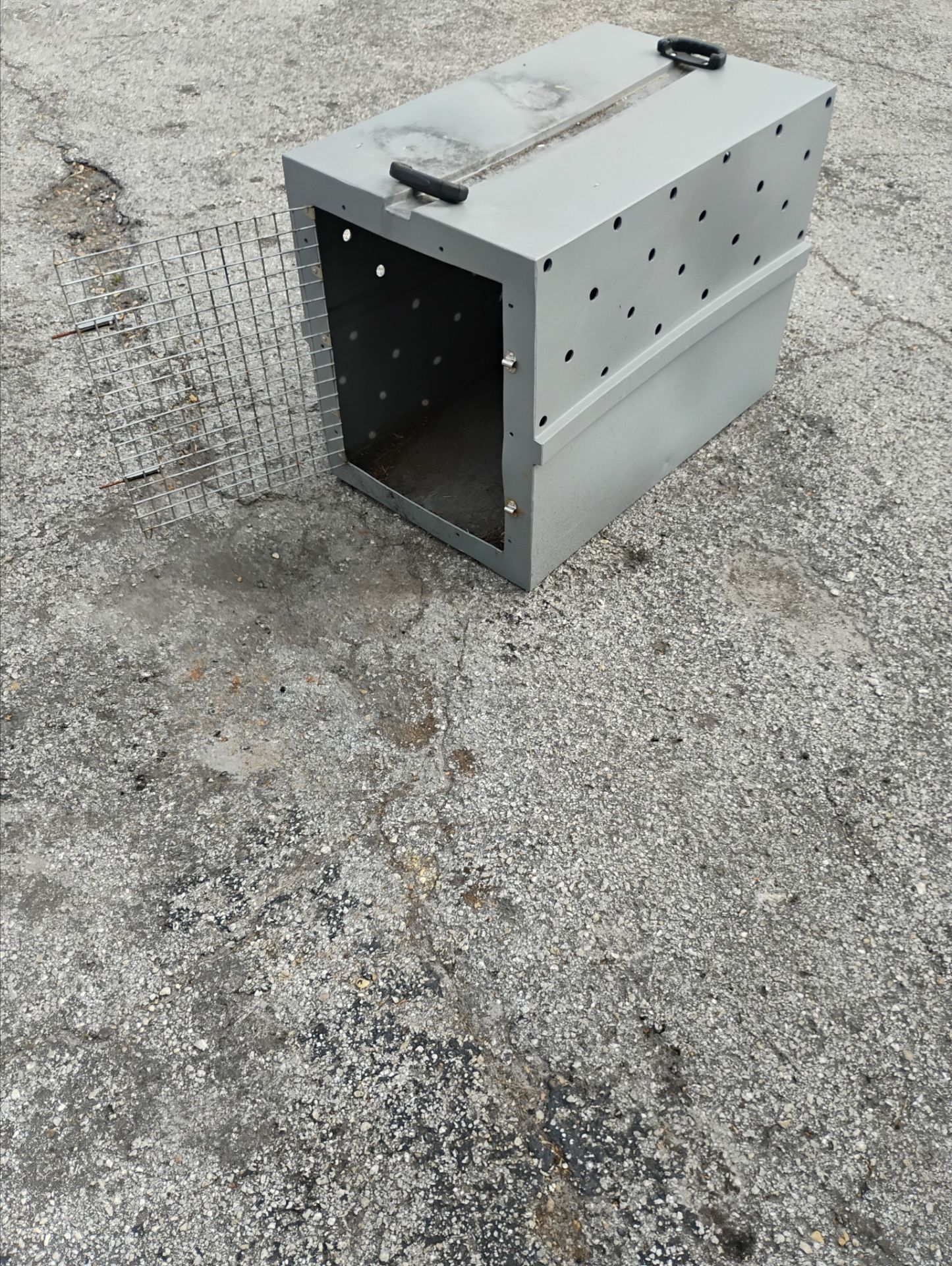 Dog house great shape make a nice comfy home for your pet like good condition no things breaks flashes all work