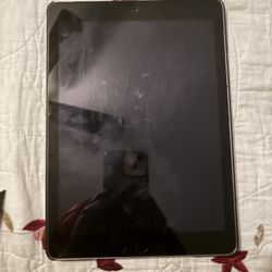 Apple iPad ( 6th Generation )