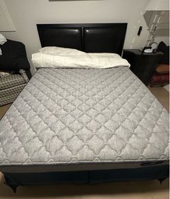 Free!!! Queen Bed Frame with Mattress and Boxspring