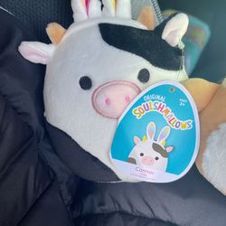 Easter Squishmallow Connor/Avery