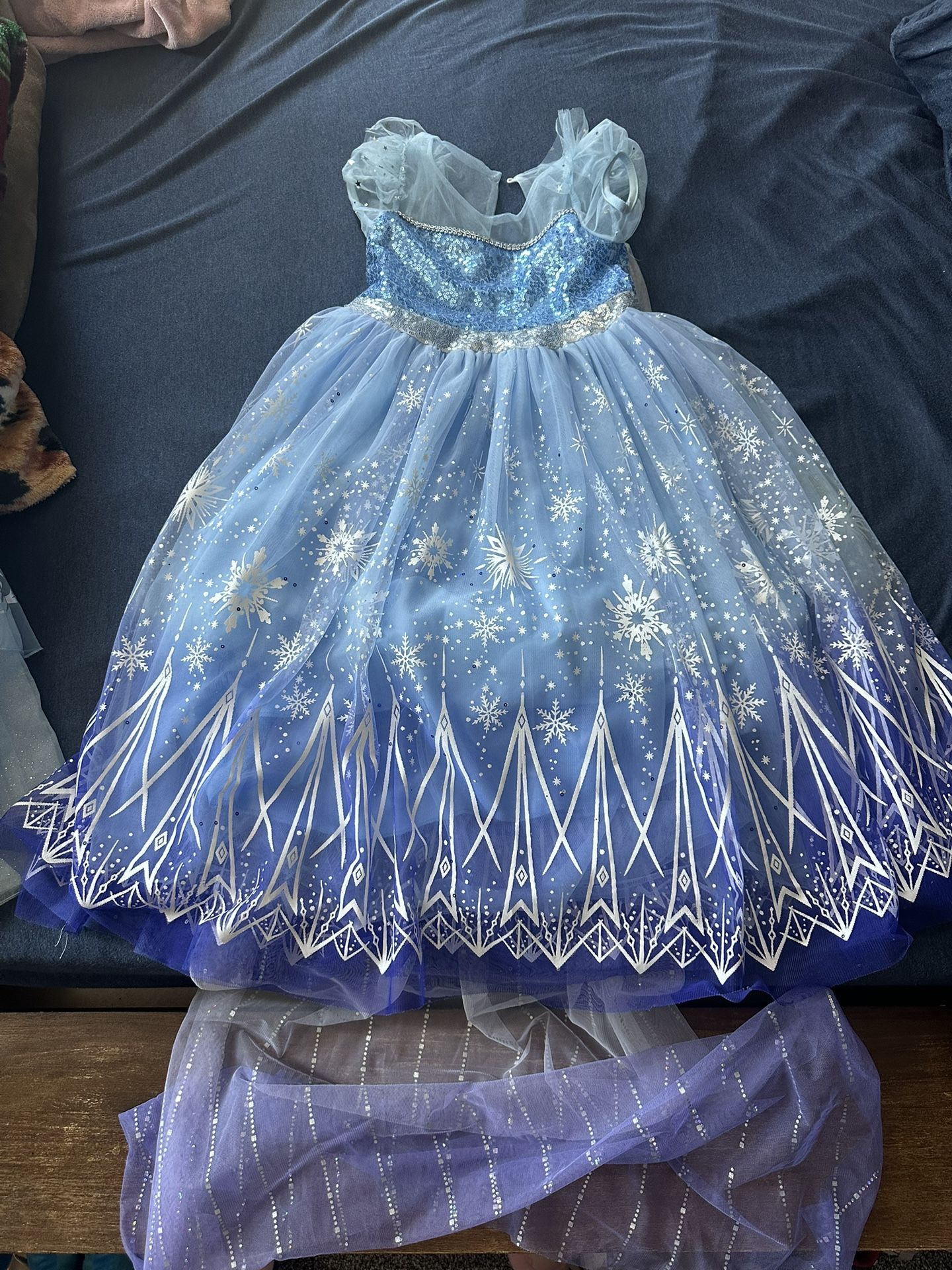 Elsa Costume