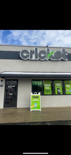 Cricket in Sanford 🍀