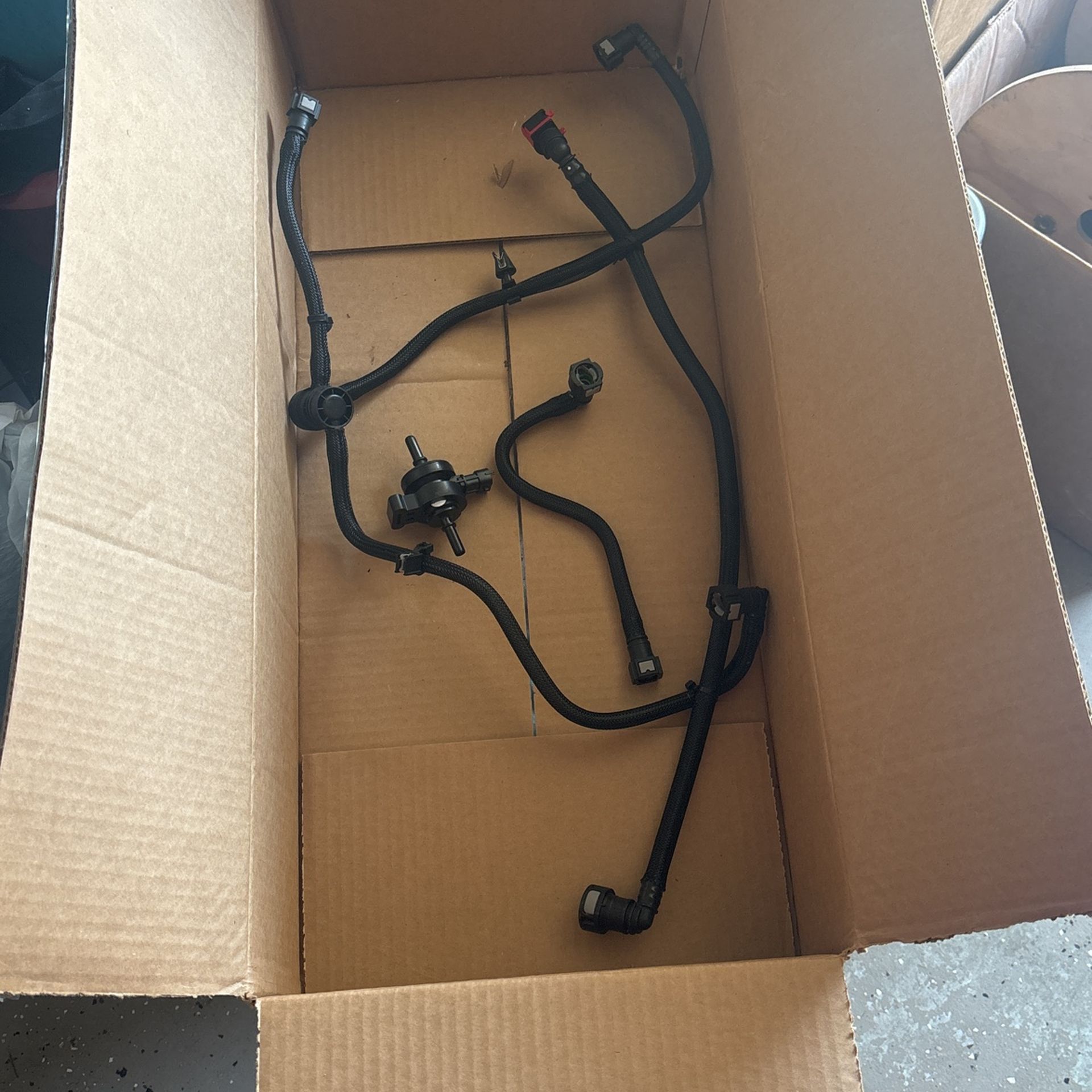 Canister Purge Valve 