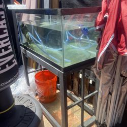 Fish Tank And Stand 