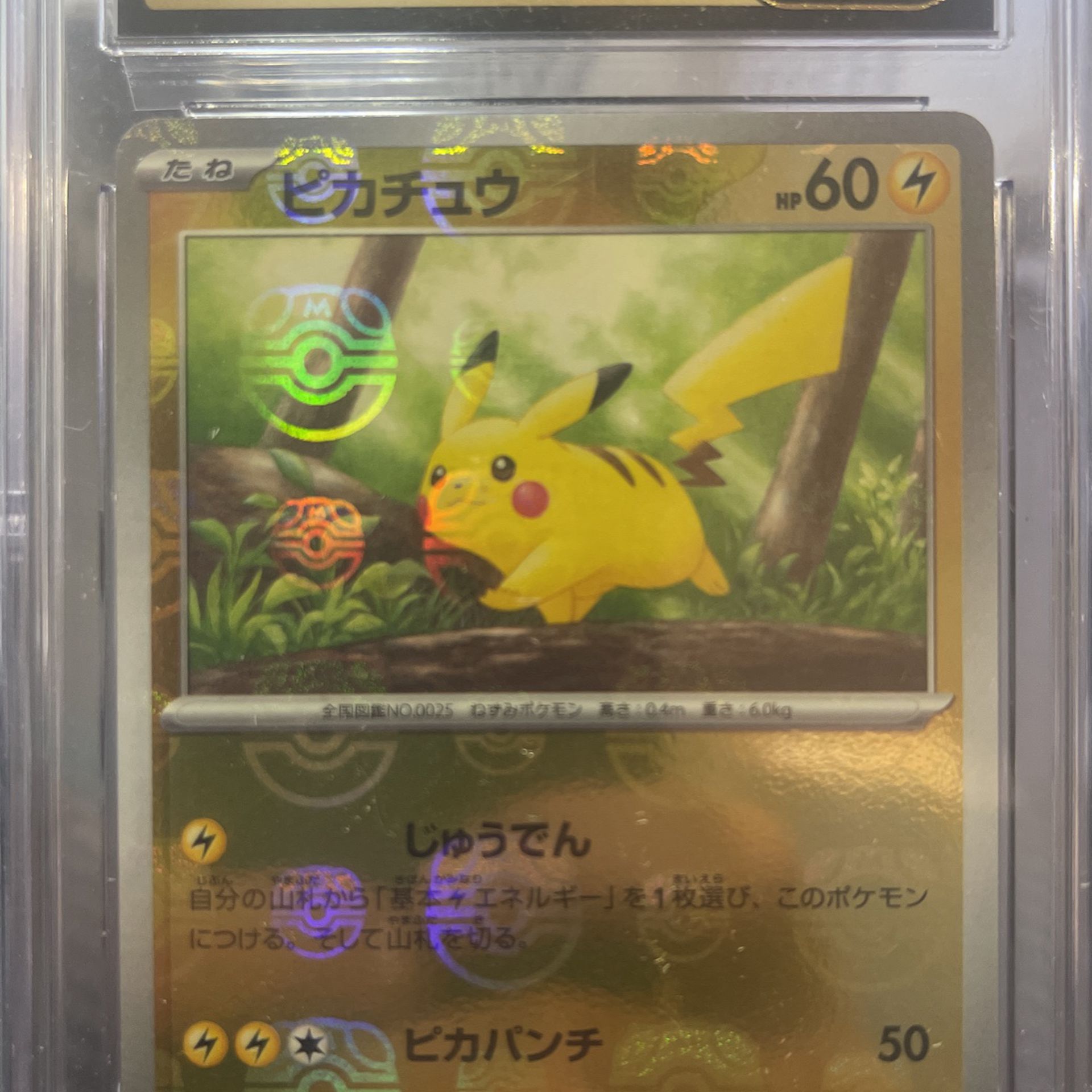 CGC 10 Pristine 2023 Pokemon Japanese Master Ball Reverse Holo 151 #025 Pikachu
