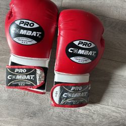 10z Boxing Gloves