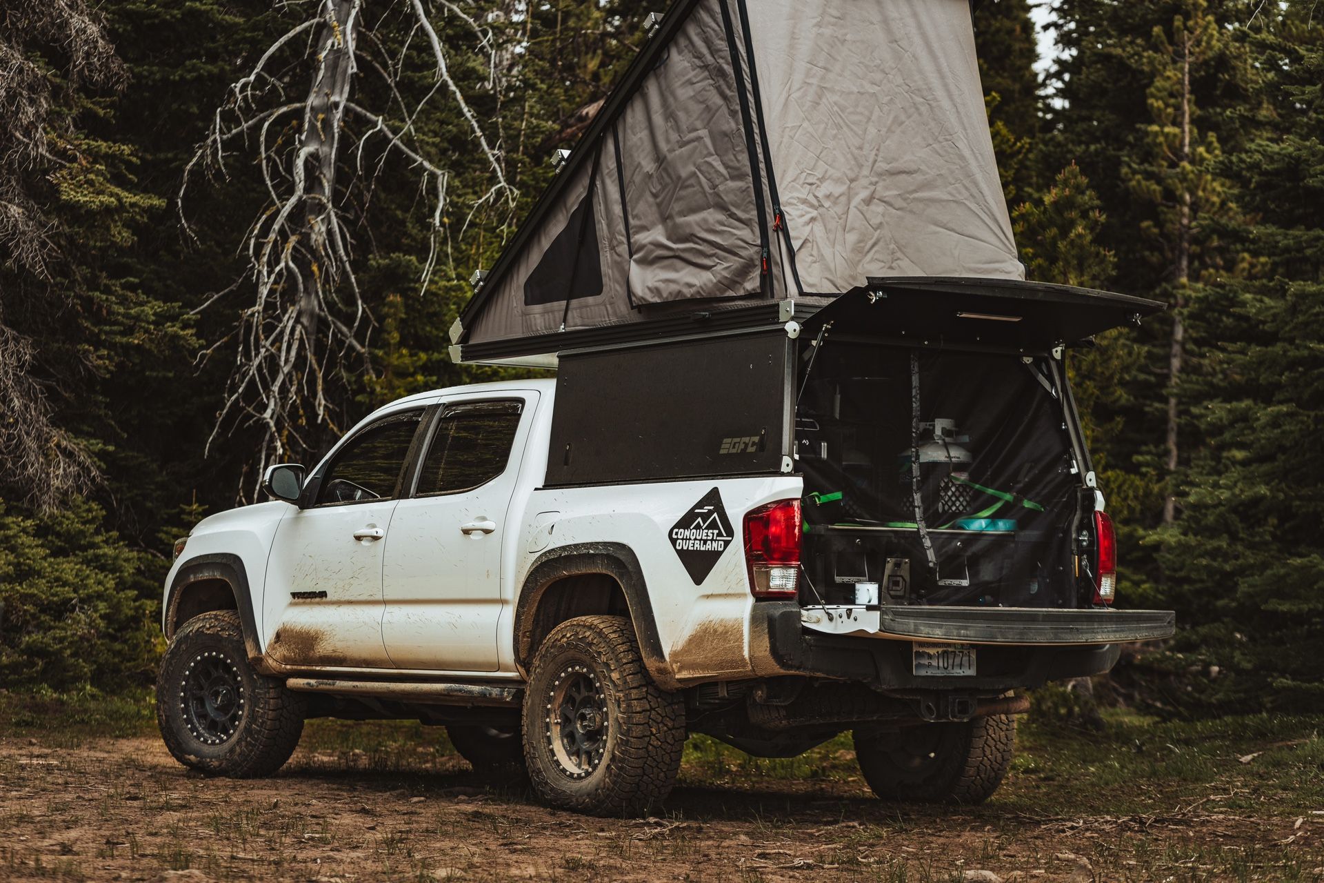GFC (Go Fast Camper) V2