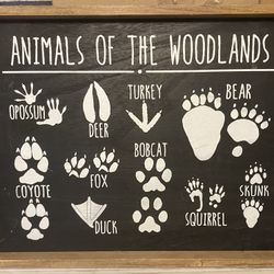 Animal Tracks Wall Decor