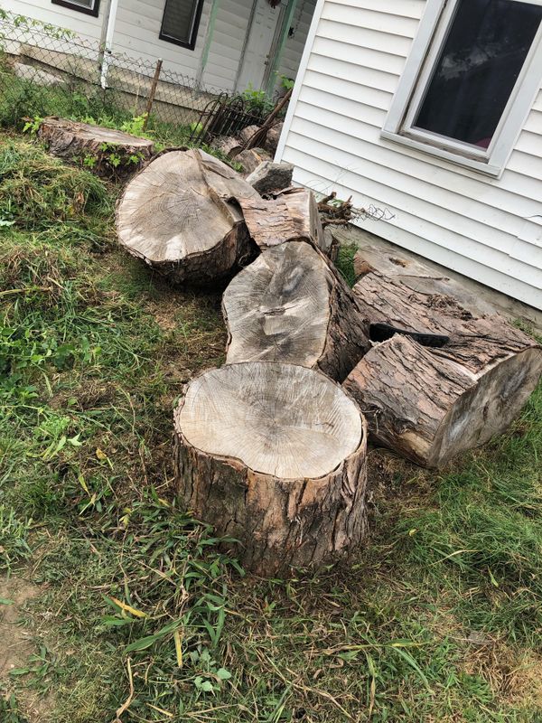 Free Firewood For Sale In Dayton Oh Offerup