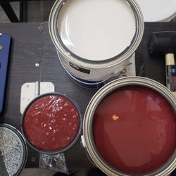 Paint/ Pintura Acrilica De Latex