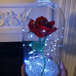 New Rose in Glass Dome (different prices)