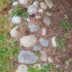 Free river rock 