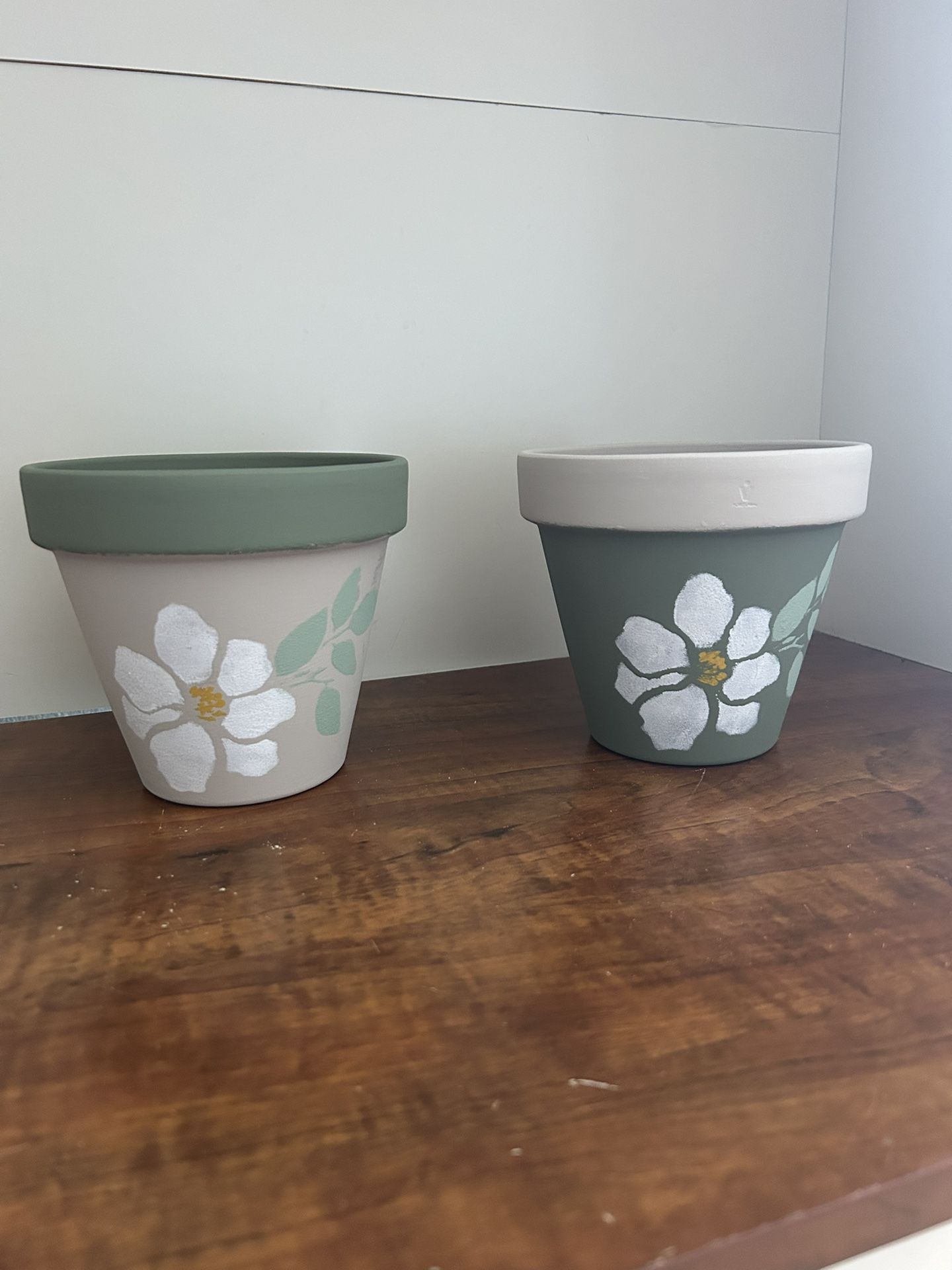 Green And Beige Flower Pots