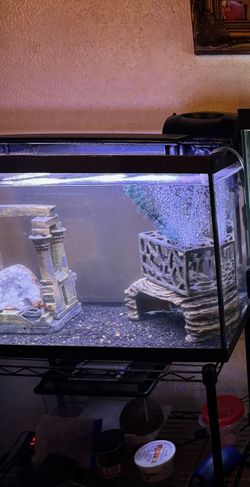 20 Gallon Tank