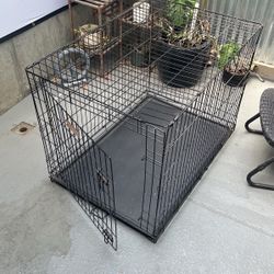 XL Dog crate