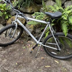 Windsor Dover 1.0 Bike