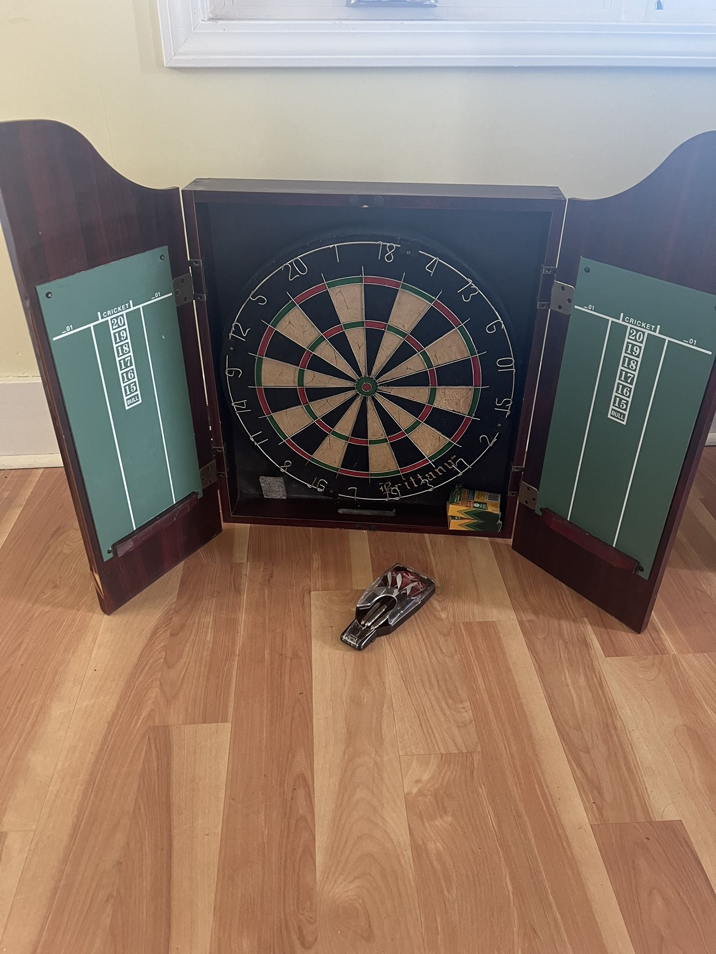 Dart board with darts