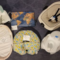 Booster Chair, Painting, Bouncer, Potty Chair, Nursing Pillow,  & Snuggle Nest