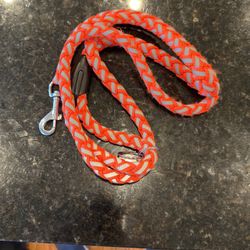 Westminster PetReflective Safety Leash, 6 Ft L, 5/8 in W, Nylon Line, Orange, L Breed,