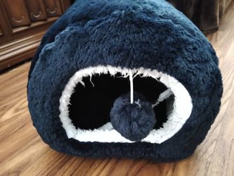 Kitty Bed Clean And Previously Owned 