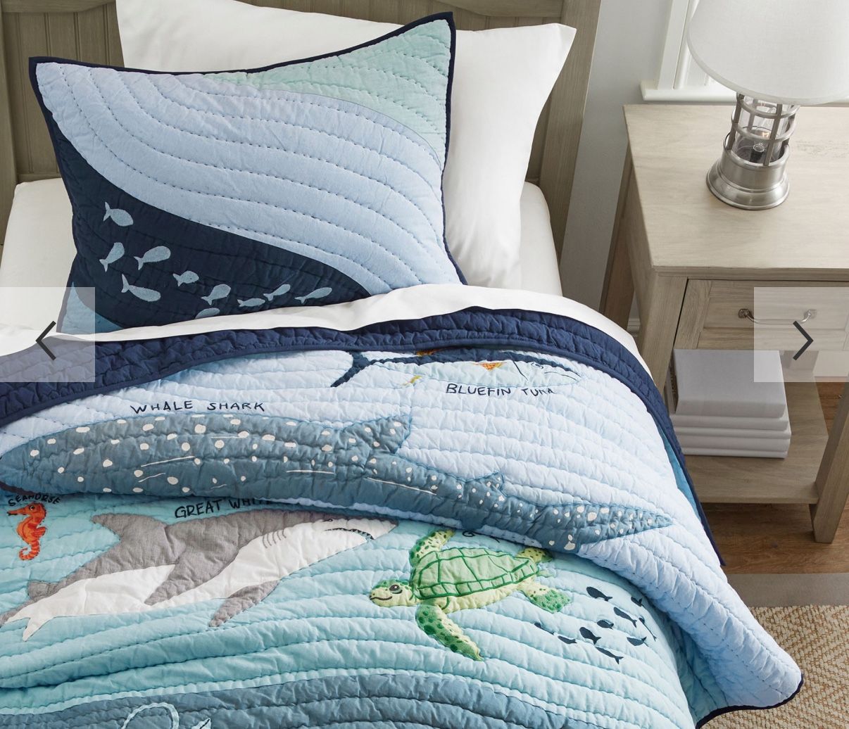 Pottery Barn Kids Ocean Twin Bedset