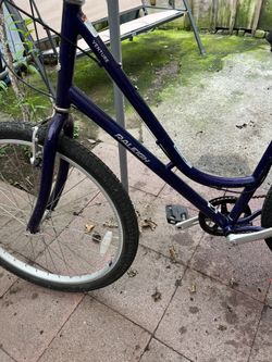 Raleig Bike