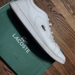 Lacoste Shoea