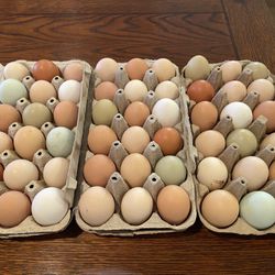 Fresh Chicken Eggs - $4 a Dozen