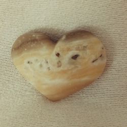 Calcite, Agate & Shell Fossil Heart (c0028)