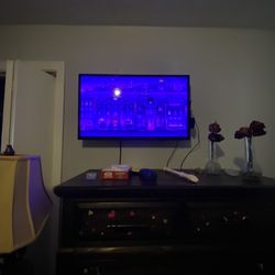 “32 Inch Insignia Flat Screen Tv With Remote And Wall Mount 