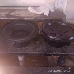 2 12" Subwoofers 