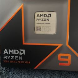 Ryzen 9 9900x