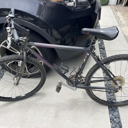 Specialized Rock Hopper Mountain Bike 
