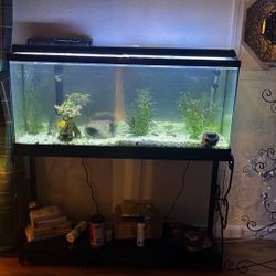 55 Gallon Mirrored Tank 